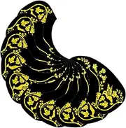 Levemolo 10Pcs Self Adhesive Guitar Pickguard Durable Scratch Plate for Acoustic Guitars Easy to Install Decorative Scratch Guard Morning Glory Design
