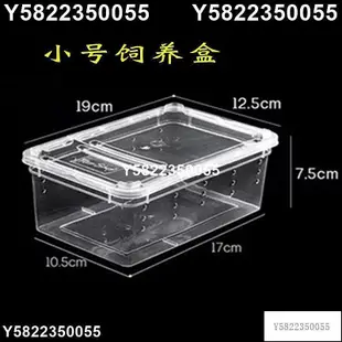 熱賣現貨◆速出蝸牛盒子寵物飼養箱白玉蝸牛小中大號專用養殖盒爬蟲爬寵窩防逃逸