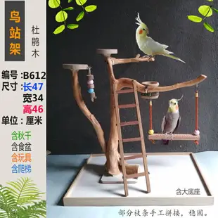 鳥站架 鸚鵡站架 鸚鵡架子 玄鳳牡丹中小型站架 樹根訓鳥架 樹枝鳥站架 站桿 實木『my4328』