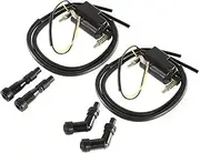 Ignition Coil Set Compatible For Suzuki GS550 GS750 GS850 GS1000 2 Dual Output + 4 Ohm Coils With Spark Plug Caps #33410-45012