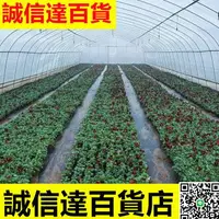 在飛比找樂天市場購物網優惠-廠家生產熱鍍鋅鋼管1寸6分熱鍍鋅管溫室大棚鋼管種植大棚骨架定