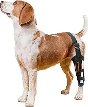 Dog Knee Brace for Hind and Rear Leg,Dog Leg Braces for Back Leg Dog Knee Brace for Torn ACL Hind Leg Dog Knee Brace with Reflective Seat Belts for Support (Black, M)