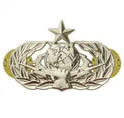 Vanguard AIR FORCE BADGE: CYBERSPACE SUPPORT: SENIOR - MIDSIZE