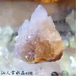 【土桑展精選寶物】仙人掌水晶40號(CACTUS QUARTZ) ~南非