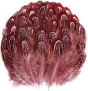 Pheasant Plumage Feathers 120Pcs Natural 2-3 Inches for Thanksgiving Crafts Hats