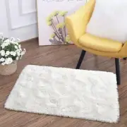 Super Soft Fluffy Rug for Bedroom, Modern Shaggy Rug 2 x 3 Feet Cream White