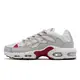 Nike 休閒鞋 Air Max Terrascape Plus 灰 紅 復古 男鞋 氣墊 ACS DV7513-001