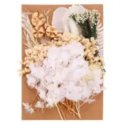 Pressed Flowers Bulk Dried Flowers Natural Pressed Flowers Leaves Light Color