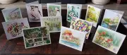 12 Greeting Cards from Painter & Holocaust Survivor Suzanne Obrand's Watercolors