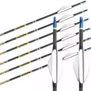 Carbon Arrow Archery Bow ID4.2mm Spiral Feather Compound/Recurve Bow
