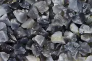 1/4 lb Asian Agate Rough Stones -Natural Crystal Mineral Rock Specimens Tumbling