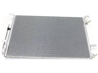 A/C Condenser For 2015-2022 Ford Mustang 2016 2017 2018 2019 2020 2021 NZ622CP (for: Ford)