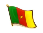 Cameroon Flag Lapel Pin / Cameroon Pin
