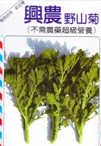 在飛比找蝦皮購物優惠-四季園 野山菊 【蔬果種子】興農牌 中包裝種子 每包約5公克