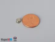 20pcs 3/16"dia x1/8" N45 4.8x3.2mm Hobbies Rare Earth Neodymium Disc Magnets