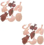 CIYODO 16 Pcs Human Model Human Body Organs Toy Model Human Anatomy Model Toy Educational Toys Human Prop Body Anatomy Model 3d Anatomy Model Plastic