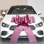 Giant Bow for CarBig Pink Car Bow 30inch Large Giant Bow for GiftsLarge Gift ...