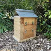 Rough Sawn 50mm Cypress Pine Stingless Australian Native Bush Bee Box Hive