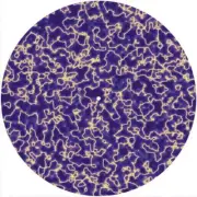 Slipmat Slip Mat for any Felt 12" Turntable LP DJ Record Player WILD PLASMA 1