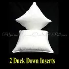 FEATHER & DOWN SCATTER CUSHION INSERTS - 2 X 60cm x 60cm - 15% DUCK DOWN