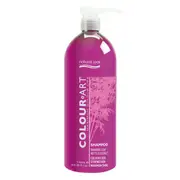3x Natural Look Colour Art Shampoo 1L