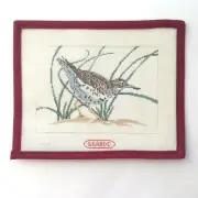 BRANDE Handpainted Needlepoint Canvas Bird Sandpiper Spotted Grass Beach 18 Mesh