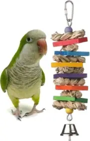 Super Bird Creations SB51095 Seagrass Wafers Bird Toy Medium Bird Size 9" x 2.5"