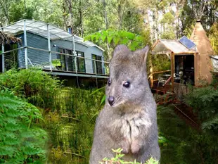 休恩布什靜養飯店Huon Bush Retreats