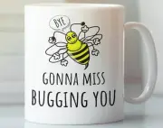 Funny Going Away Gift Farewell Gift For Boss Coworker Coworker Goodbye Gift