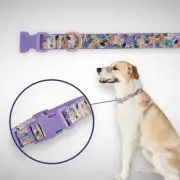 Top Paw Purple Satin Floral Graphic Adjustable D-Ring Dog Collar Size Large