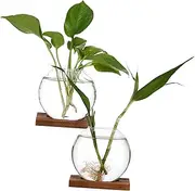 Gogogmee 2 Pcs Creative Vase Propagation Vases for Plants Plant Terrarium Propagation Jars Plants Propagation Vase Terrarium Jar Pots for Plants Wall Vases Terrarium Vase Transparent Glass