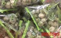 在飛比找Yahoo!奇摩拍賣優惠-sns 古早味 懷舊零食 餅乾 來新 芥末碗豆 豆果子 青豆