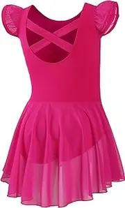 [DIPUG] Ballet Leotards for Girls Ballet Leotard with Skirt Toddler Dance Leotards Flutter Sleeve and Criss-Cross Back, Rose, 4-6 Years