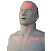 Brayden CPR Manikin with Red light monitor meets AHA CPR guidelines.