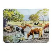 Ashdene Grazing Paddocks - By The Creek Surface Protector