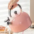 Stainless Steel Whistling Tea Kettle Induction Teapot for Tea Coffee Milk