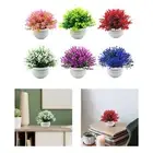 Fake Flower Potted Ornament Artificial Bonsai Decor Small Fake Plants for Home