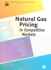 在飛比找三民網路書店優惠-Natural Gas Pricing in Competi