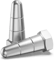 PetsTEK Replacement Prongs 3/4-Inch Stainless Steel Contact Points Compatible with Dogtra Remote Trainers and Bark Collars 1900S/ARC/iQ Plus/200C/280C/2700T&B/EDGE/YS-600/YS-300 - Brand - Made in USA