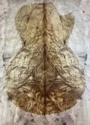 Electric Guitar Top Curly Golden Camphor Wood Burl Worm-hole For Stabilized Make