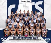 2024 GEELONG CATS AFLW FOOTBALL TEAM POSTER,FREEPOST Afl football,2