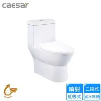 在飛比找momo購物網優惠-【CAESAR 凱撒衛浴】二段式省水單體馬桶/管距40(CF