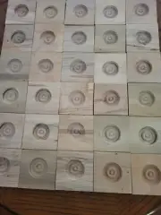 30 HARD MAPLE Wood Rosettes Corner Molding