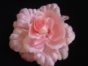 CORAL PINK ROSE FASCINATOR / CORSAGE / BROOCH- GREGORY LADNER