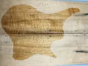 Figure Les Paul Guitar Top Wormhole Ripple Maple Wood Bookmatch Luthier Supply