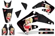 Dirt Bike Graphics Kit Decal Sticker Wrap For Honda CRF450R 2002-2004 MANDY R K