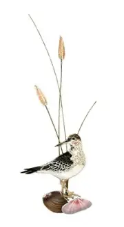 Bovano - Wall Sculpture - Sandpiper w/ Shells - Vertical