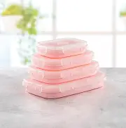 Piranha Set of 4 Collapsible Food Storage Containers