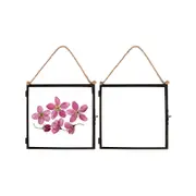 Nicola Spring Glass Hanging Photo Frames - 8" x 8" - Black - Pack of 2