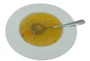 Display Faux Food Prop Chicken Noodle Soup